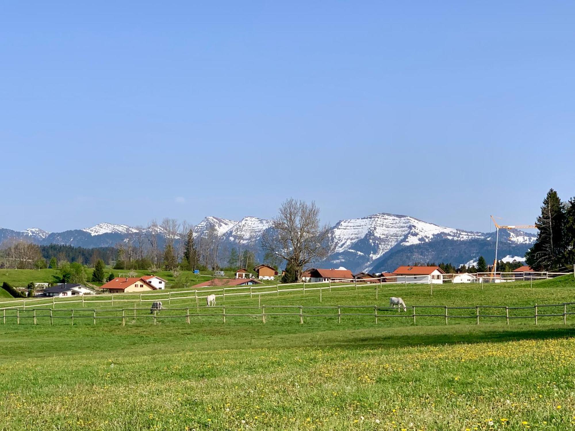 Lindners Hideaways - Bergnest Lodge - Bergblick Fewo 6 Pers Balkon Garten Hund Ski Unterkunft Luftkurort Oberreute Naehe Buchenegger Wasserfaelle Eistobel Bodensee Exterior foto