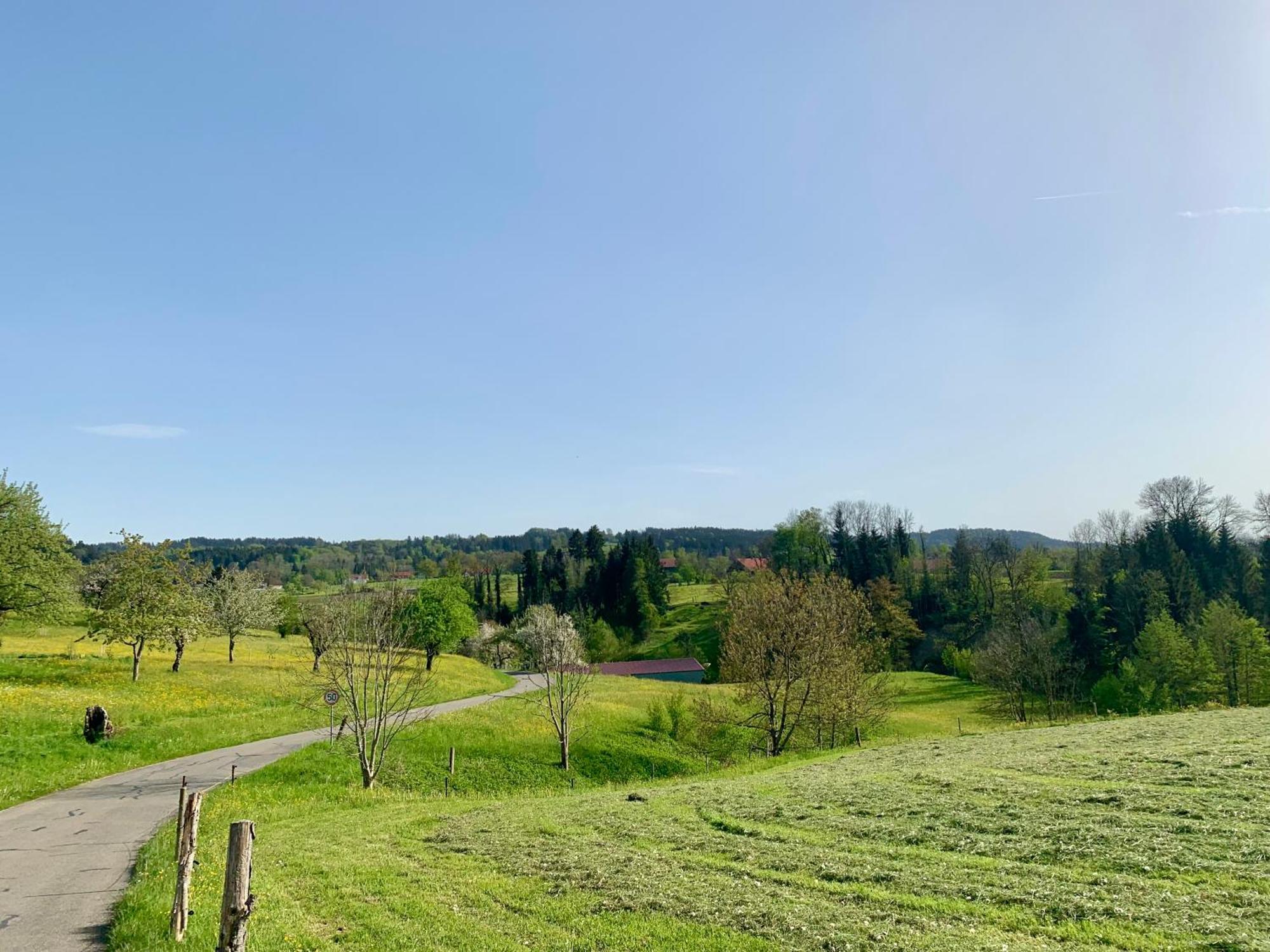 Lindners Hideaways - Bergnest Lodge - Bergblick Fewo 6 Pers Balkon Garten Hund Ski Unterkunft Luftkurort Oberreute Naehe Buchenegger Wasserfaelle Eistobel Bodensee Exterior foto
