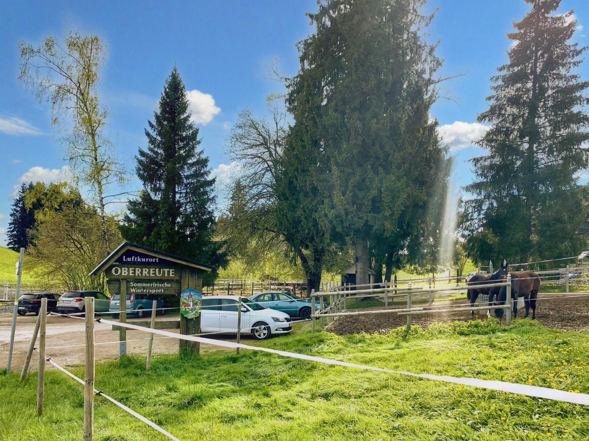 Lindners Hideaways - Bergnest Lodge - Bergblick Fewo 6 Pers Balkon Garten Hund Ski Unterkunft Luftkurort Oberreute Naehe Buchenegger Wasserfaelle Eistobel Bodensee Exterior foto