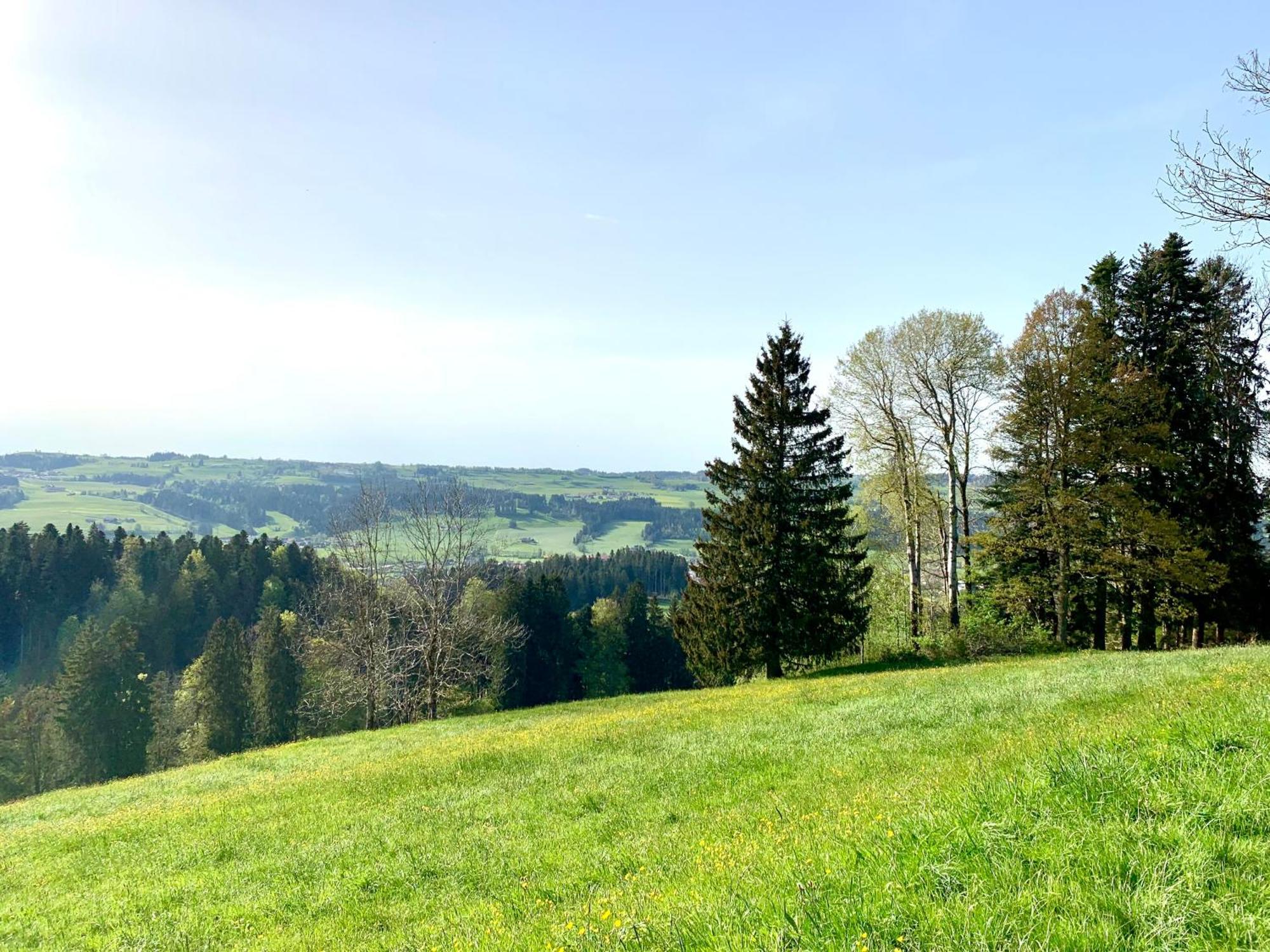 Lindners Hideaways - Bergnest Lodge - Bergblick Fewo 6 Pers Balkon Garten Hund Ski Unterkunft Luftkurort Oberreute Naehe Buchenegger Wasserfaelle Eistobel Bodensee Exterior foto